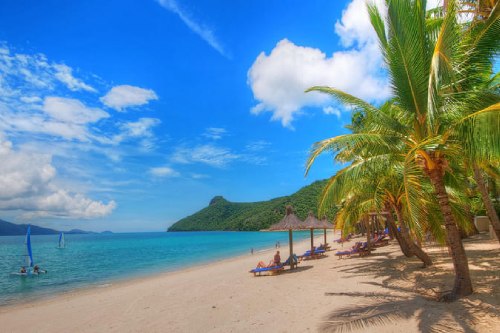 resort in neil island for couples